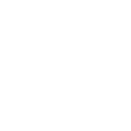 Village Ice Cream logo